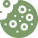 Organic_cookies